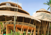 Bali green school