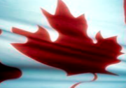 10 Canadian Books to Look Forward to in 2012