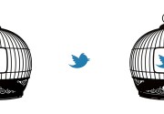 Critics Or Tweeps? Who's Stronger?