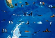 {Poetry} penguin found 2,000 miles off course
