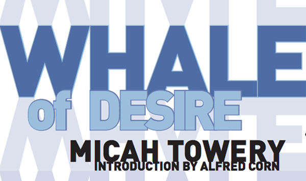 shazia-hafiz-ramji-reviews-micah-towery-whale-of-desire
