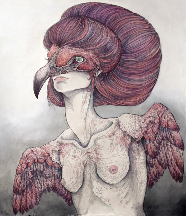 A Flightless Bird - Art by Caitlin Hackett