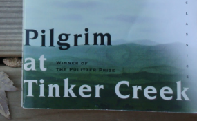 Blinded By The Light: Pilgrim at Tinker Creek