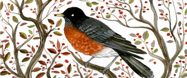 North american robin bird painting poetry